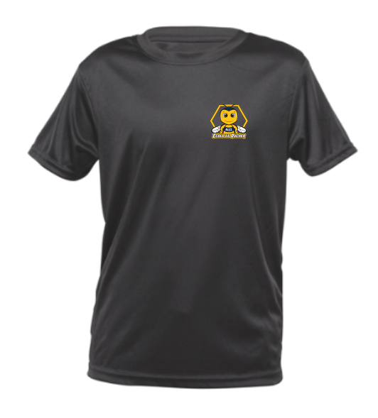 Image T-shirt 100 % polyester ADULTE