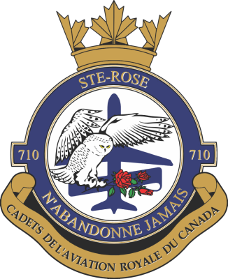 Logo Escadron 710