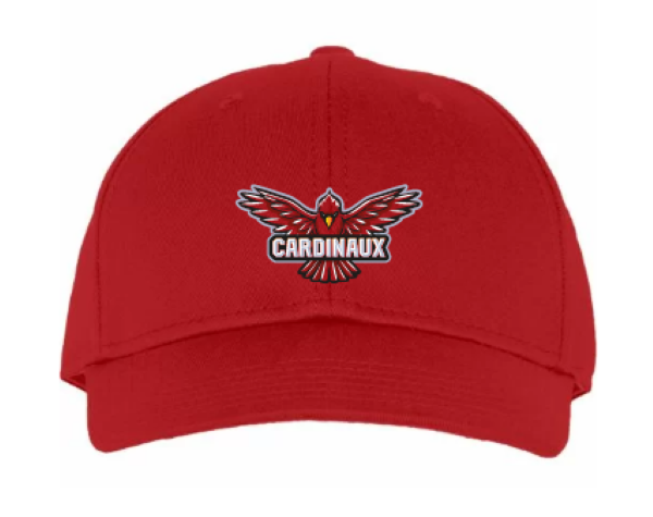 Image Casquette