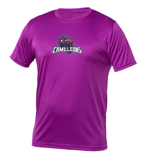 Image T-Shirt polyester ADULTE